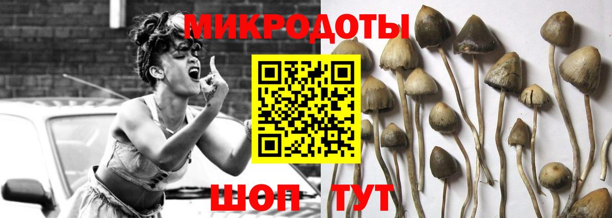 Галлюциногенные грибы Psilocybe  Вход с VPN  Междуреченск 